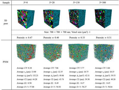 Three-dimensional characterization and quantitative research of Malan loess microstructure under seismic loading